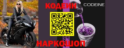МДПВ Камень-на-Оби