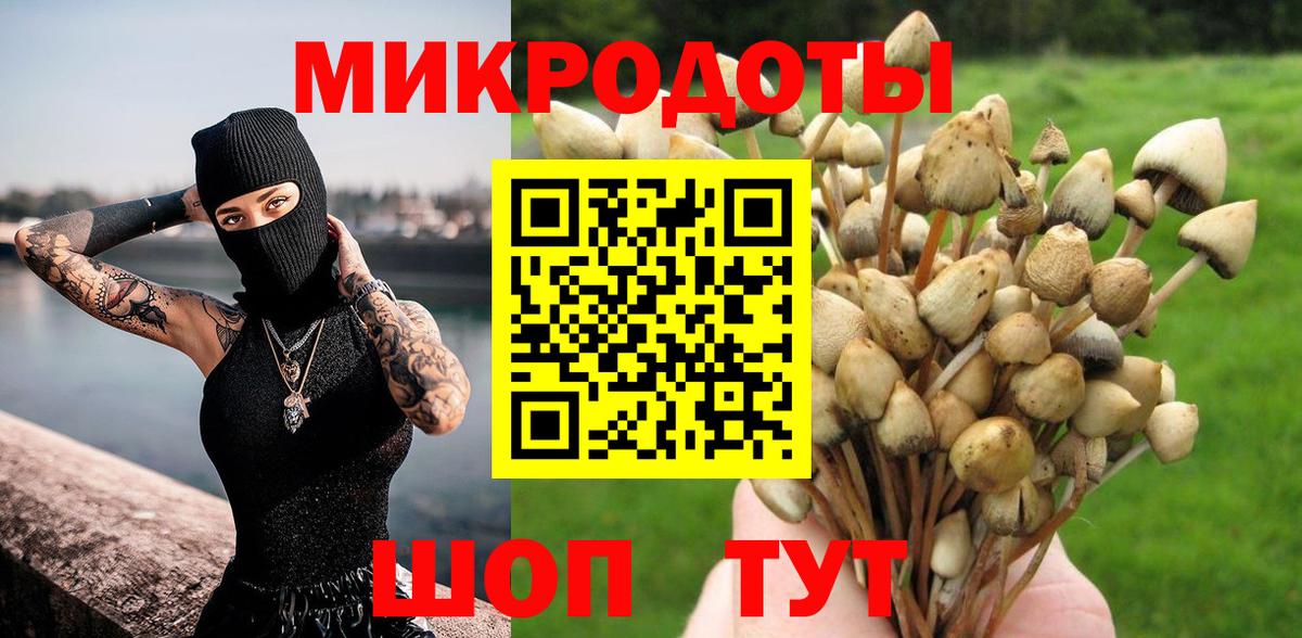 Галлюциногенные грибы Psilocybe  Вход с VPN  Кохма 